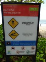 140 Cairns - Spaziergang in Palm Cove