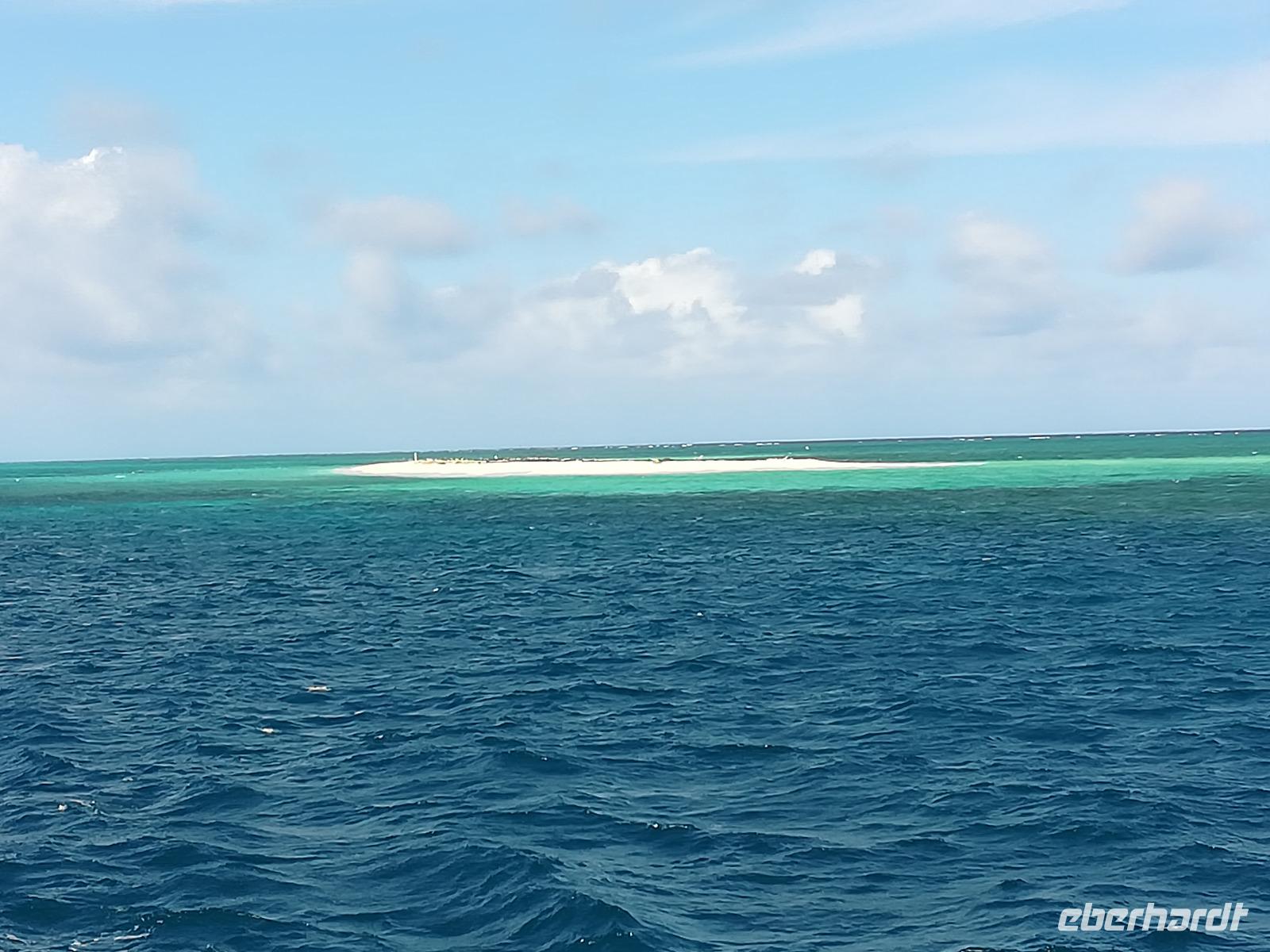 146 Cairns - Great Barrier Riff - Insel Michael Mas Cay