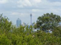 172 Sydney - Stadtrundfahrt