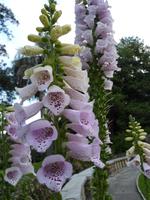 175 Sydney - Stadtrundfahrt