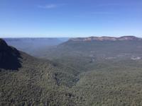 185 Sydney - Blu Mountains - Jamison Valley und Mt. Solitair