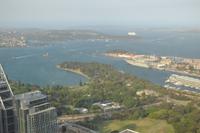 Ausblick vom Skytower Sydney (1)