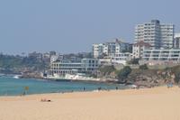 Bondi Beach (9)