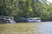 Bootsfahrt auf dem Daintree River (2)