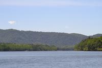Bootsfahrt auf dem Daintree River (12)