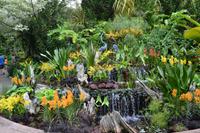 botansicher Garten Singapur (3)