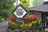 botansicher Garten Singapur (11)