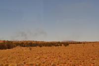 Buschbrände im Outback (3)