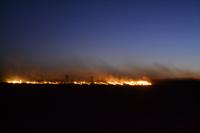 Buschbrände Outback