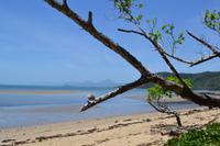 Daintree Nationalpark (17)