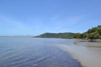 Daintree Nationalpark (20)