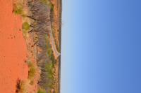 Düne am Salzsee vor Ayers Rock (1)