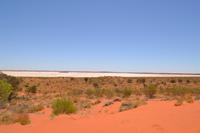 Düne am Salzsee vor Ayers Rock (3)