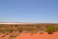 Düne am Salzsee vor Ayers Rock (4)