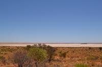 Düne am Salzsee vor Ayers Rock (5)