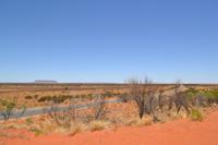 Düne am Salzsee vor Ayers Rock (6)