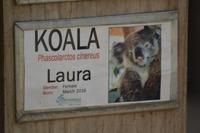 Featherdale Wildlife Park (21)