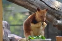 Featherdale Wildlife Park (24)