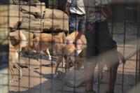 Featherdale Wildlife Park (45)