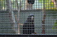 Featherdale Wildlife Park