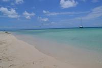 Great Barrier Reef (5)