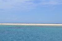 Great Barrier Reef (6)