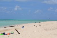 Great Barrier Reef (22)