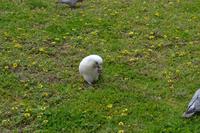 Great Ocean Road (15)