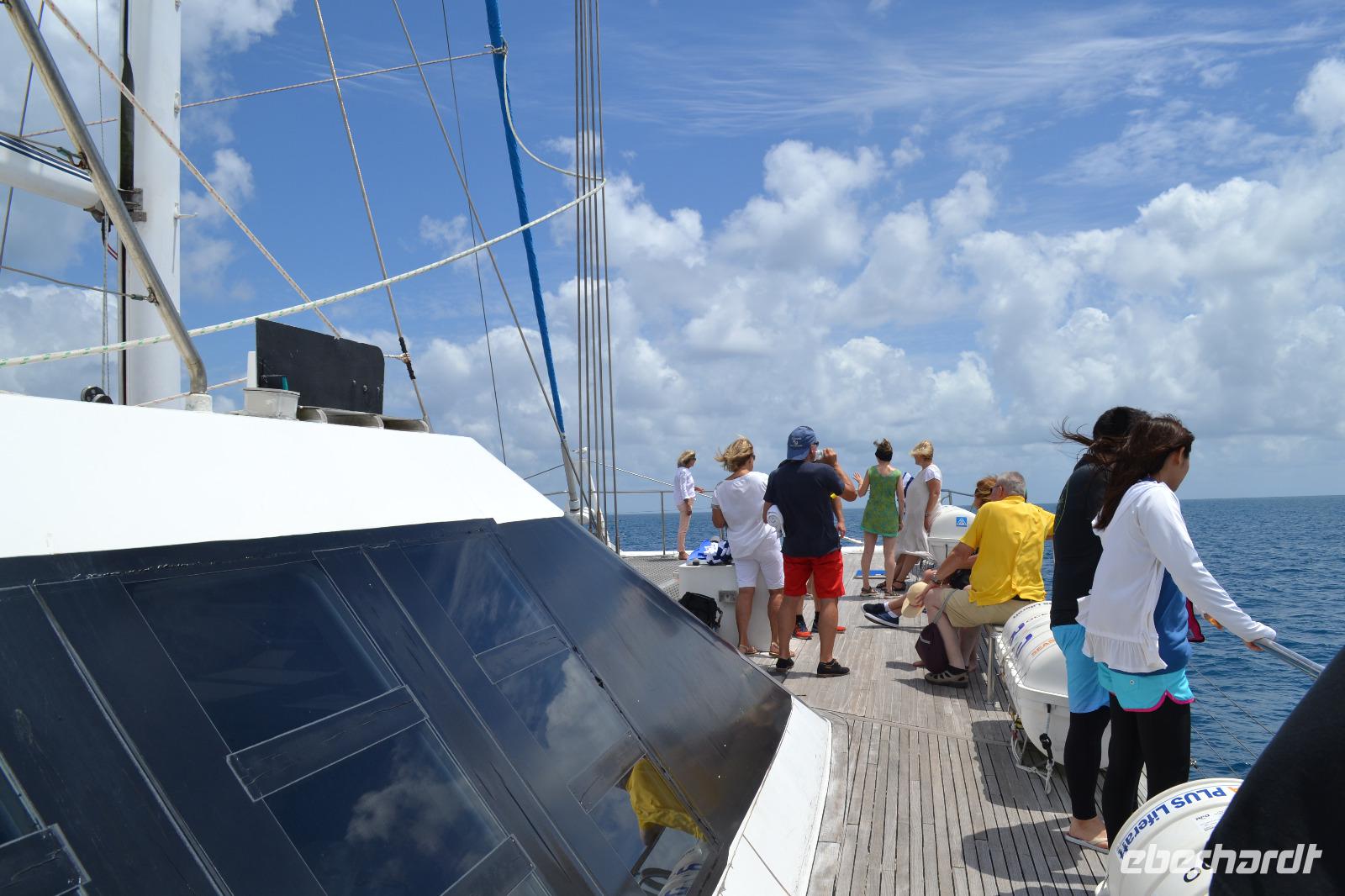 Katamaran Fahrt zum Great Barrier Reef (1)