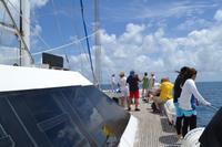 Katamaran Fahrt zum Great Barrier Reef (1)