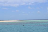 Katamaran Fahrt zum Great Barrier Reef (5)