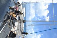 Katamaran Fahrt zum Great Barrier Reef (6)