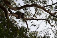 Kennett River Fotostop (1)