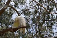 Kennett River Fotostop (4)