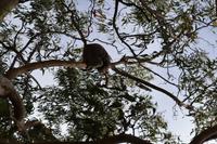 Kennett River Fotostop (18)