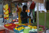 Little India- Singapur (1)