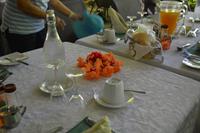 Mittagessen im Daintree Teahouse