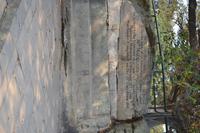 Oper und Brücke Sydney (6)