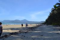 Port Douglas (1)