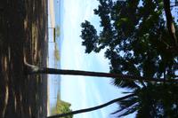 Port Douglas (5)