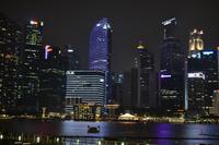Singapur bei Nacht  (8)