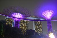 Singapur bei Nacht  (11)