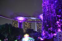 Singapur bei Nacht  (12)