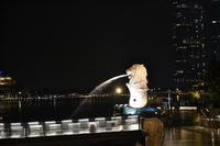 Singapur bei Nacht (1)