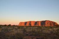 Sonnenaufgang am Uluru (1)