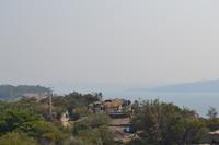 Stadtrundfahrt Sydney (1)