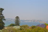 Stadtrundfahrt Sydney (2)