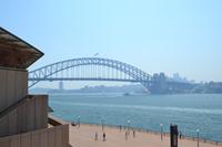 Sydney (5)