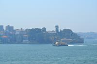 Sydney (6)