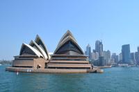 Sydney (7)